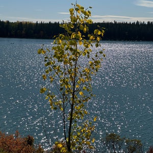 Glenmore Reservoir
