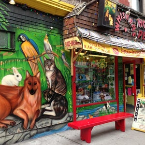 The 15 Best Places for Pets in the East Village, New York