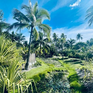 Bora Bora Pearl Beach Resort and Spa