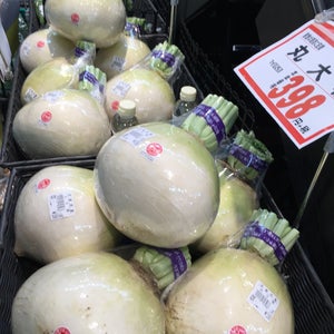 ????? 川端?