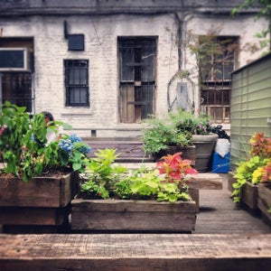 The 15 Best Places for Backyard in New York City