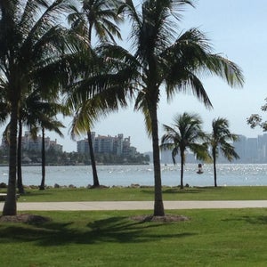 The 13 Best Places for Picnics in Miami Beach