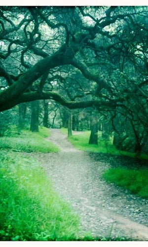 Joaquin Miller Park