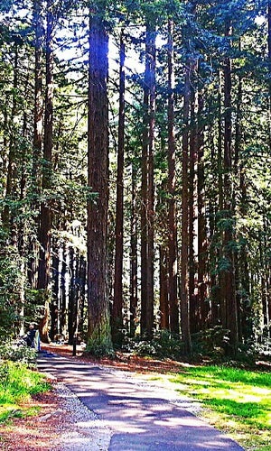 Roberts Regional Recreation Area