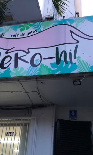 Neko-Hi Café