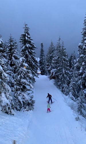 Grouse Mountain