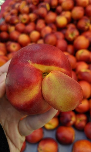 Fruitvale - Oakland Farmers Market