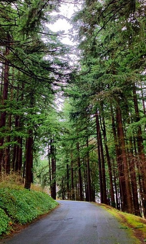Mt. Tabor Park
