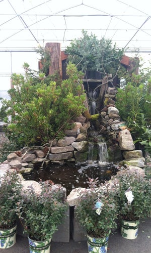 Portland Nursery