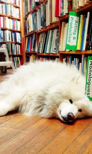 Walden Pond Books
