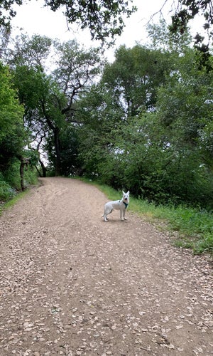 Strawberry Canyon Recreational Area