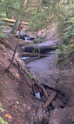 Schmitz Preserve Park