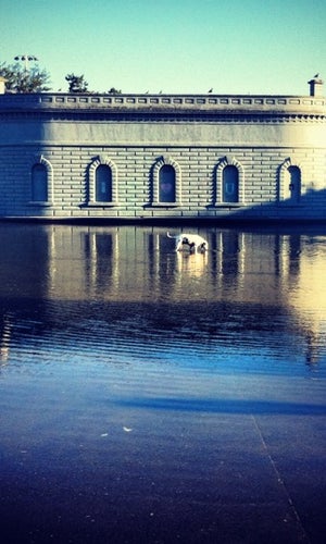 Cal Anderson Park