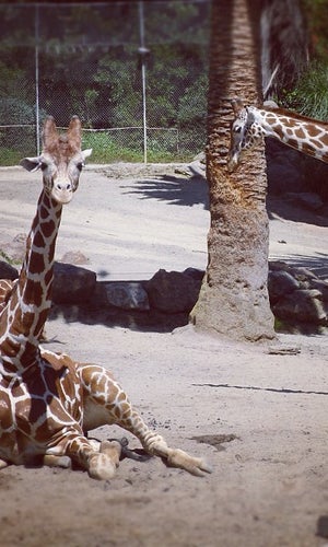 Oakland Zoo