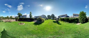 Guinness Trust Community Garden