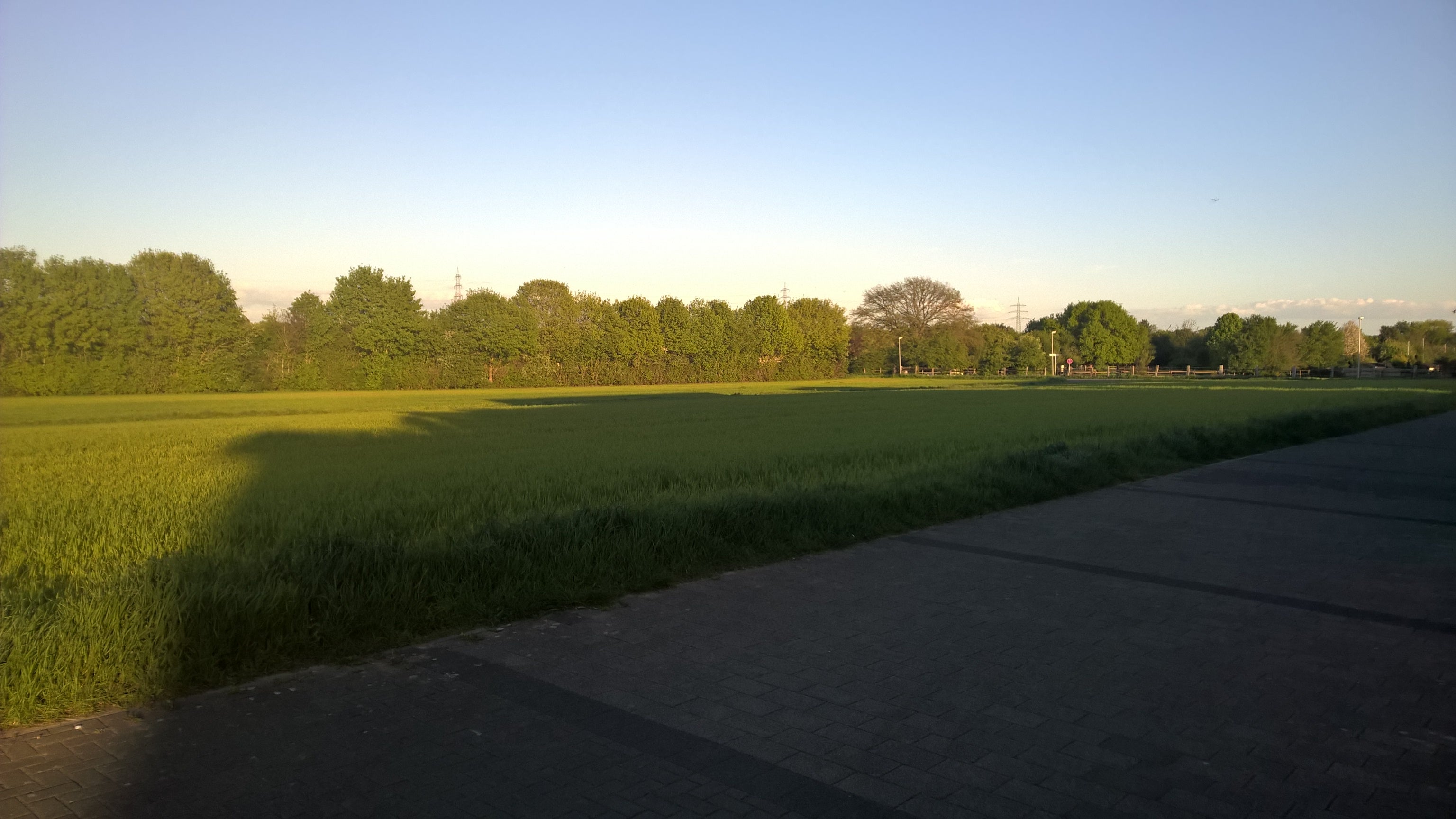 photo of Feld Raunheim / Rüsselsheim