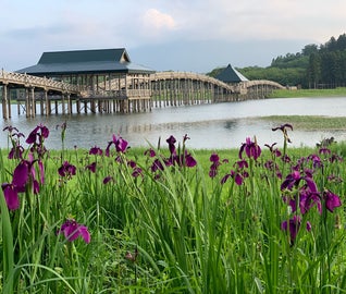 洋館とお城で歴史を楽しむ弘前の旅