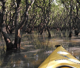 子どもと思い切り楽しむ、奄美大島の夏休み旅行