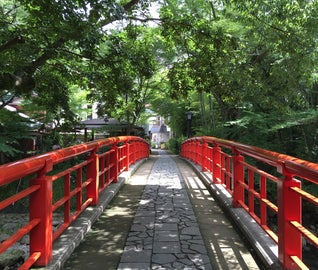 山に囲まれた温泉街でのんびり過ごす、伊豆・修善寺の旅