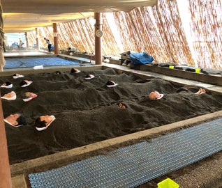 砂蒸し温泉に黒豚！指宿の魅力を発掘する旅