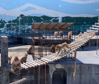 北海道の自然に癒される函館温泉旅