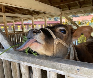 家族旅行にぴったり！熱海をおもいきり遊び尽くす旅