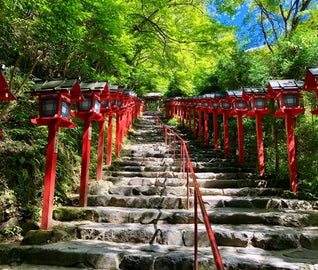 京都の奥座敷で青もみじに癒やされる新緑さんぽ旅