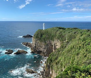 夏の太陽にきらめく、太平洋の絶景を巡る高知旅