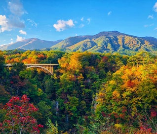 秋の鳴子で、紅葉と温泉巡りを楽しむ旅