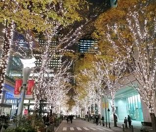 イルミネーションで輝く街と、グルメを楽しむ冬の東京旅