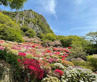 武雄温泉と自然で疲れを癒すリラックス旅