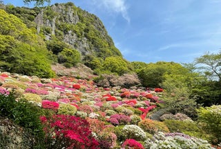 佐賀県の旅行モデルコース こころから