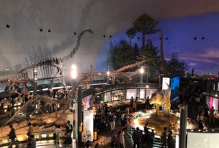 福井県の旅行モデルコース こころから 福井県の旅行モデルコース こころから