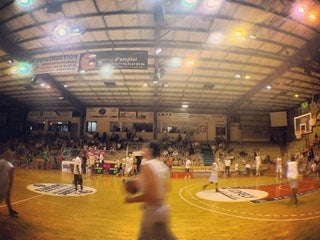 Pitch in Basketball
