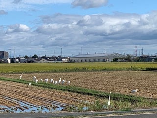 Supermarket ハイパーモールメルクス伊勢崎 Nearby Isesaki In Japan 0 Reviews Address Website Maps Me Supermarket ハイパーモールメルクス伊勢崎 Nearby Isesaki In Japan 0 Reviews Address Website Maps Me
