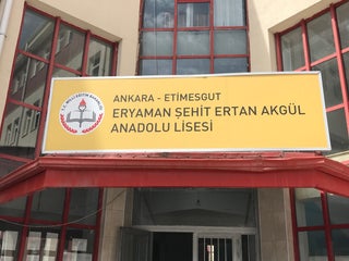 gano excel international giriş