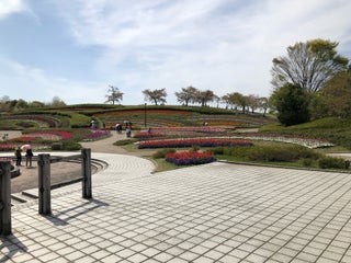 Park 馬見丘陵公園 緑道エリア Nearby Kawai In Japan 0 Reviews Address Website Maps Me