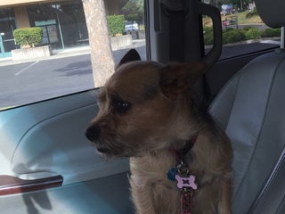 Petshop An Jan Feed Pet Supply Nearby Morgan Hill In United States Of America 1 Reviews Address Website Maps Me