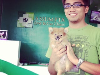 Assumpta dog best sale and cat clinic