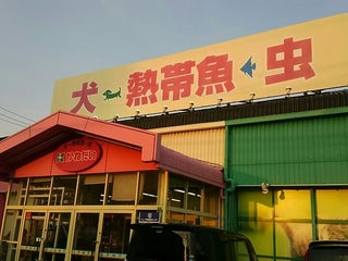 ペットショップ 日本の綾瀬市付近のかねだい 海老名店 0件のレビュー 住所 ウェブサイト Maps Me