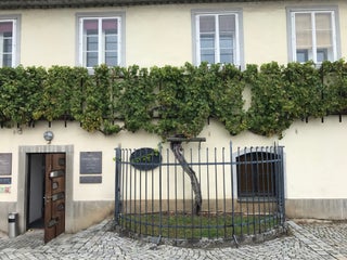 liquor store house