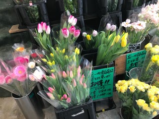 Florist S 花屋 Nearby Zushi In Japan 0 Reviews Address Website Maps Me