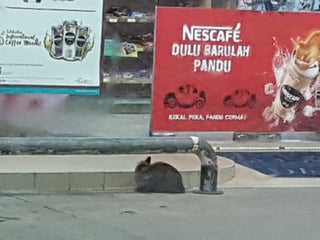 Gas Station Nearby Alor Gajah Malaysia Addresses Websites In Transport Directory Maps Me Download Offline Maps