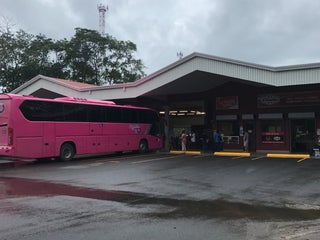 Transnasional bus review