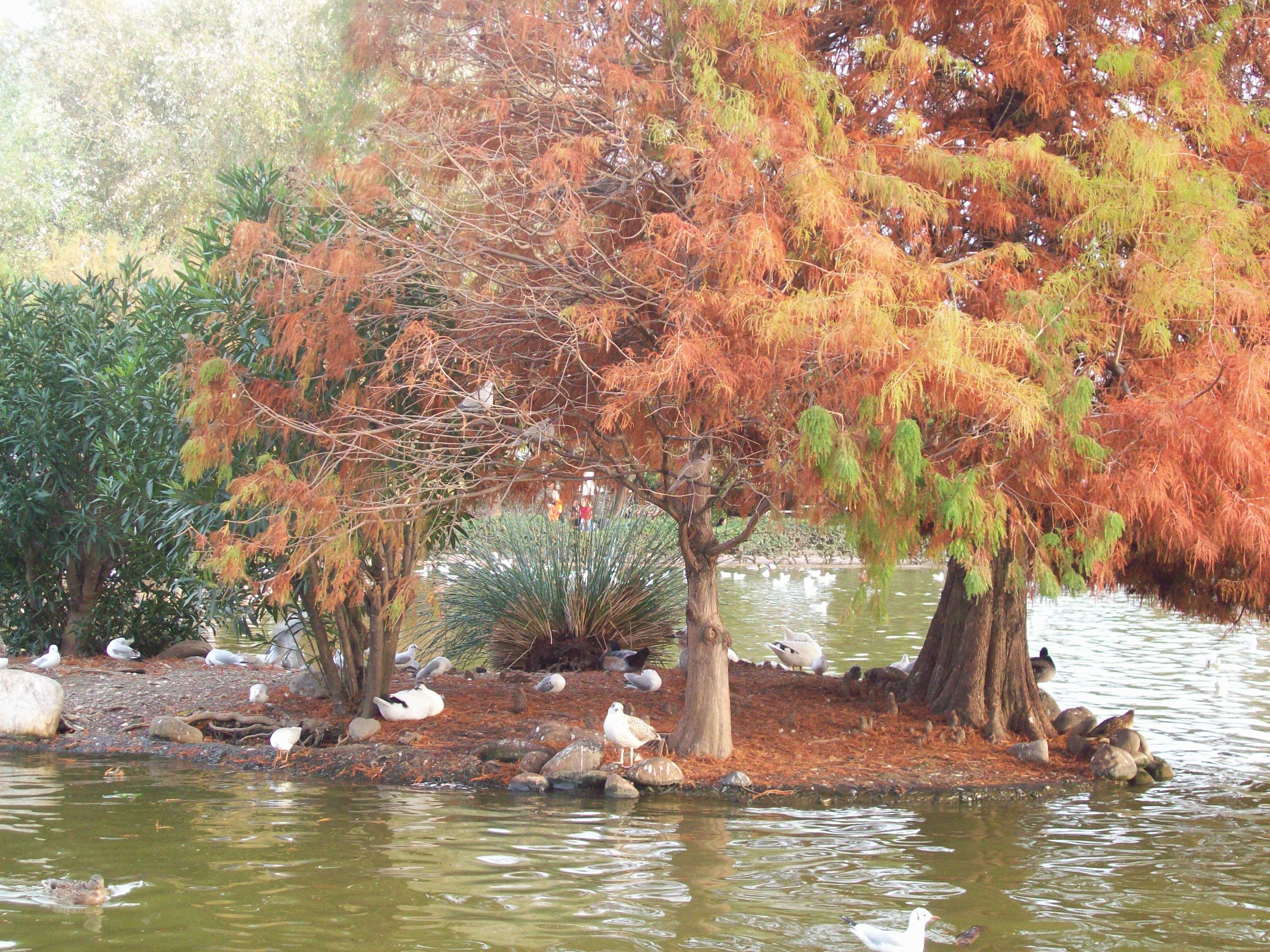park