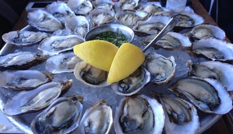 The 15 Best Places for Oysters in San Francisco