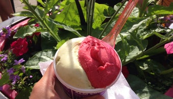 The 15 Best Places for Sorbet in Montreal