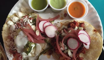 The 15 Best Places for Cactus in Brooklyn