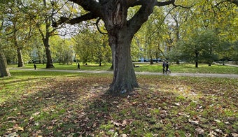 The 15 Best Places for Park in London