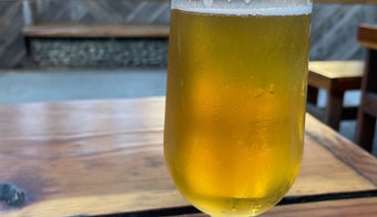 The 15 Best Places for Draft Beer in San Jose